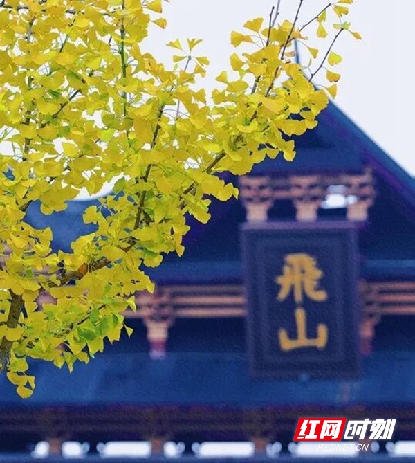 640 (3)_副本.jpg 640 (3)_副本.jpg