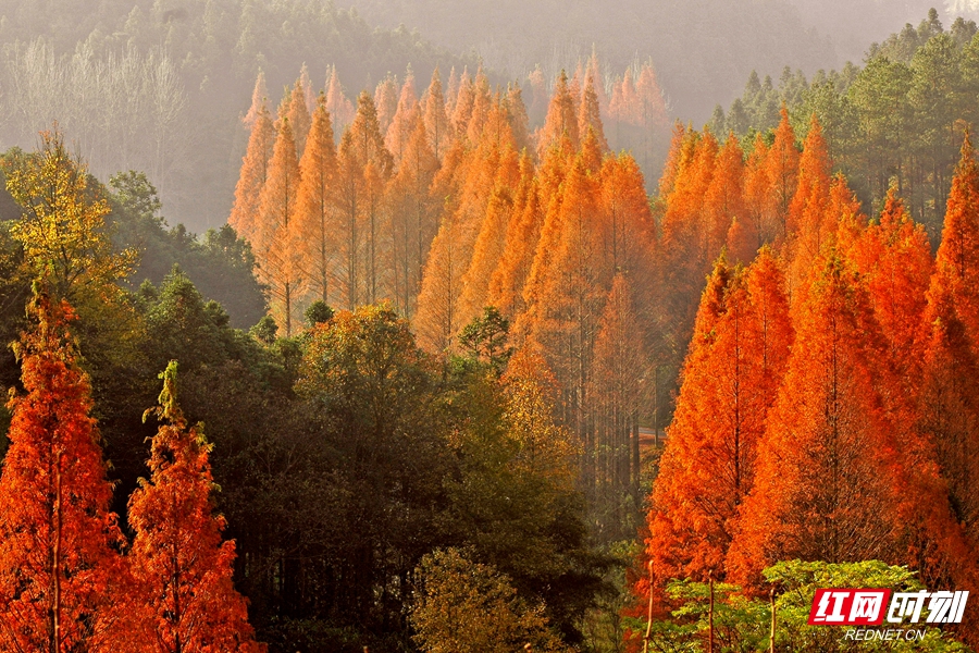 55acc6e952ce40389c45e5d3177f1582.jpg 55acc6e952ce40389c45e5d3177f1582.jpg