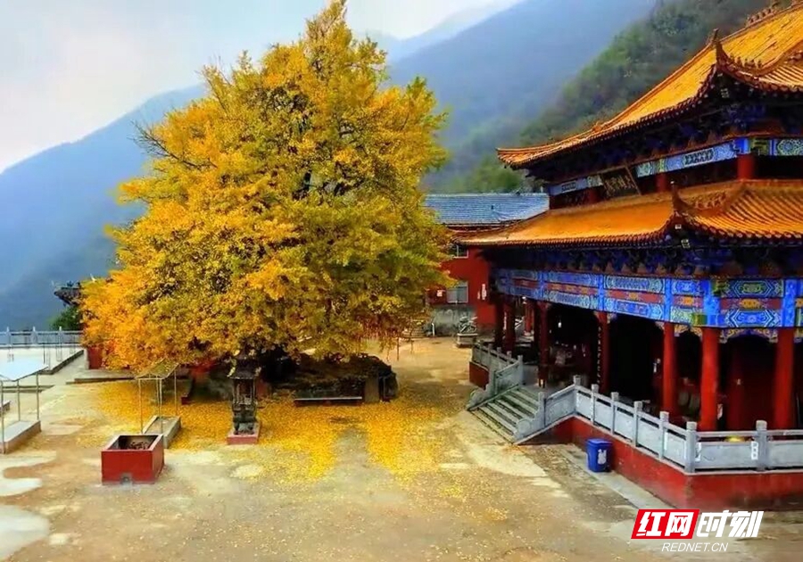 640 (6)_副本.jpg 640 (6)_副本.jpg