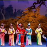 湖南省花鼓戏骨干人才培训班启动报名