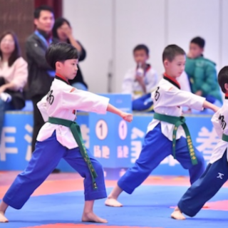 2025年湖南跆拳道大众赛汉寿收官 体育为文旅注入新活力