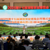 “五彩湘茶”香飘星城 2025第十七届湖南茶业博览会开幕