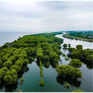 诗歌时刻丨许百经：八百里烟波（组诗）