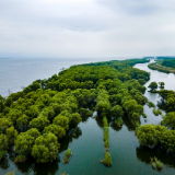 评论丨肖青松：绝美歌词《八百里洞庭我的家》