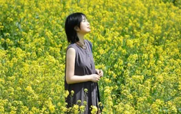 有“摄”湖南丨春日赏油菜花，教你如何拍出绝美大片