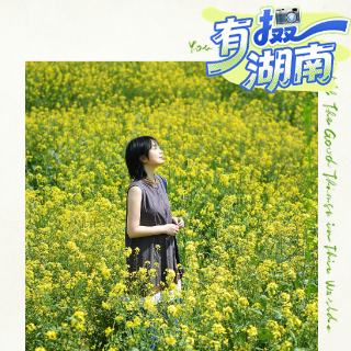 有“摄”湖南丨春日赏油菜花，教你如何拍出绝美大片