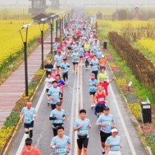 2000名跑友花海逐风 2026南县罗文花海半程马拉松开跑