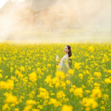 福地怀化·赏花季丨怀化春日花信已至，这份赏花攻略请查收