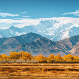 散文丨王达能：难忘黄土坡