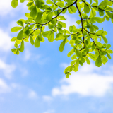 新湘派诗人代表作｜刘羊：笑忘书