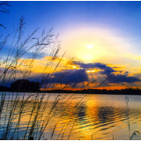 随笔丨张毅龙：心野粥暖 