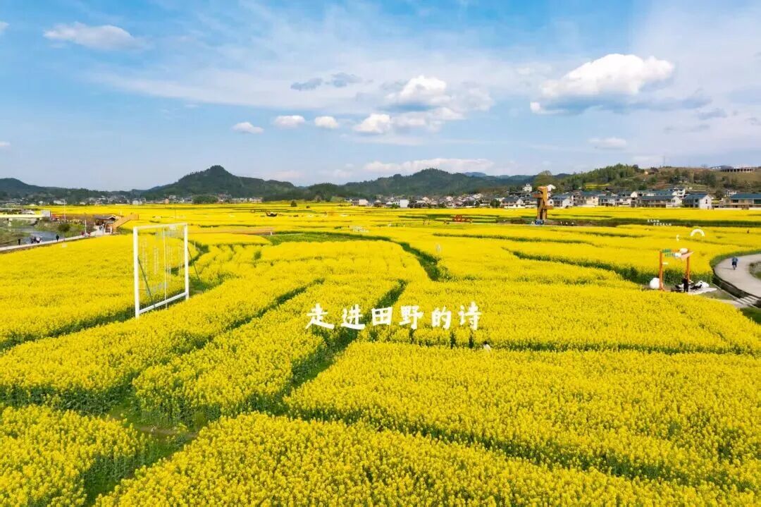 微信图片_2026-04-30_120203_577.jpg