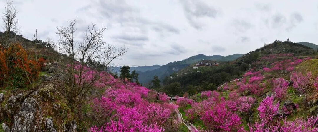 640 (4).jpg 640 (4).jpg