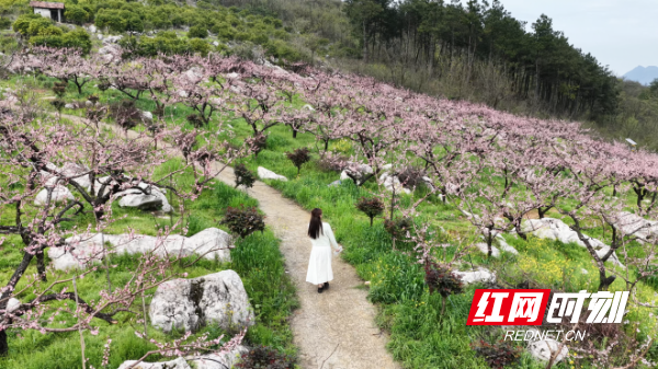 640 (3).png 640 (3).png