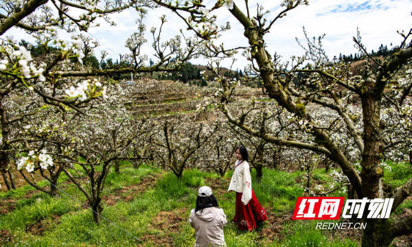 1775095098885-ryq5gddpe6r.png 1775095098885-ryq5gddpe6r.png