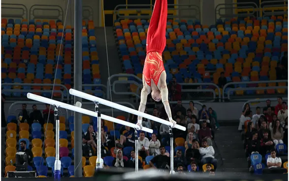 衡阳籍选手刘洋体操世界杯摘金夺铜