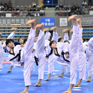 舞狮助阵、示范团献技 2026年全国跆拳道品势锦标赛衡阳开赛