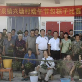 桂阳县敖泉镇开展端午主题系列活动