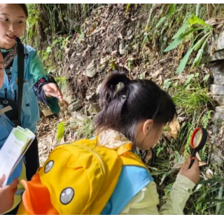 把课堂搬进自然 矮寨推出德夯峡谷地质研学产品