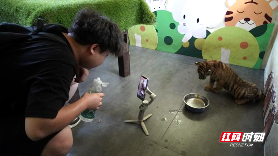 图片2_副本.png 图片2_副本.png