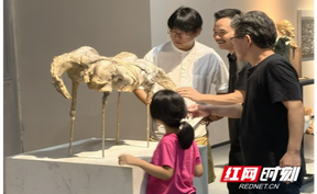 一场跨越语言与文化的“人·牲”对话——西蒙·科冈与罗湘科雕塑作品展长沙开幕