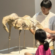 一场跨越语言与文化的“人·牲”对话——西蒙·科冈与罗湘科雕塑作品展长沙开幕