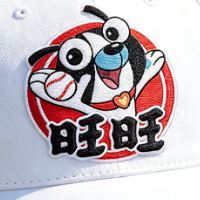 长沙旺旺棒球俱乐部:我们不要外援,只要本土的未来