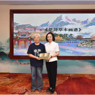 随笔丨马溆阳：溆浦的橘树