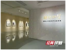 16位艺术家共同展出！这个秋天，不妨来洋湖美术馆看看