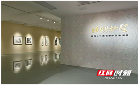 16位艺术家共同展出！这个秋天，不妨来洋湖美术馆看看