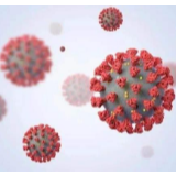 葡萄牙宣布全国紧急状态 应对疫情