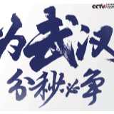 为武汉分秒必争