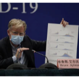 和一些政客动辄污名化甩锅不同 西方科学界高度认同中国抗疫举措