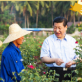 在田间地头 习近平提到过的那些土特产