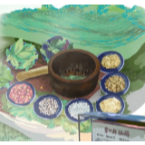 一枝一叶总关情·画中话