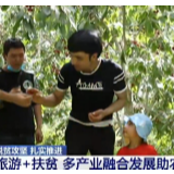 新疆：“旅游+扶贫”多产业融合发展助农增收