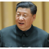 非常两会,习近平生动诠释这一理念