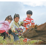 过一个健康安全的假期
