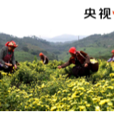 扎扎实实把脱贫攻坚战推向前进