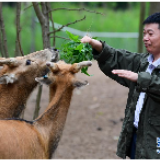 守鹿人