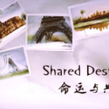 沙画丨英文MV《命运与共》助力全球抗疫