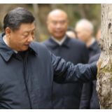 强化公共卫生体系的科技支撑