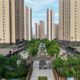 习近平湖北行丨走进武汉市东湖高新区智苑社区