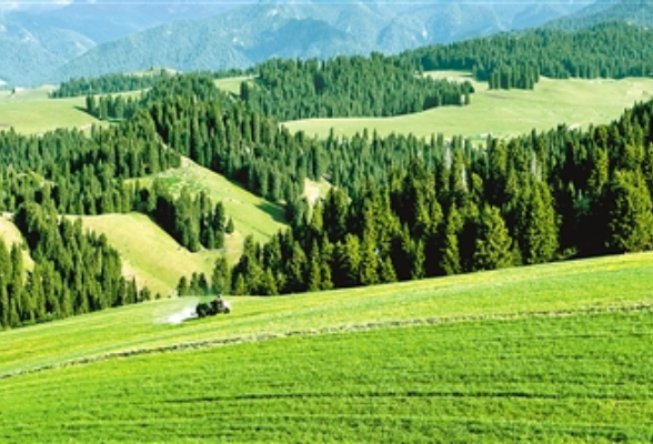 绘就和谐美丽画卷（奋进新征程  建功新时代·大美边疆）