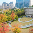 衡阳：“枫”情正浓