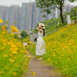 组图 | 衡阳：初夏限定！金鸡菊花海引市民争相打卡