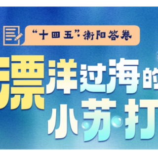 “十四五”·衡阳答卷②｜ 漂洋过海的小苏打