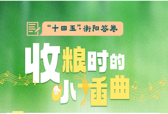 “十四五”·衡阳答卷③｜收粮时的小插曲