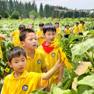 湖南常宁：“七彩”课堂鲜活有趣