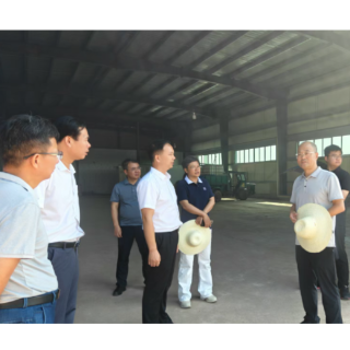 基层问策、网络征策、银发出策……衡阳“十五五”规划编制进行时